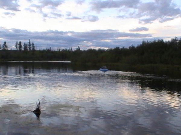 Алесандр Потапенко
