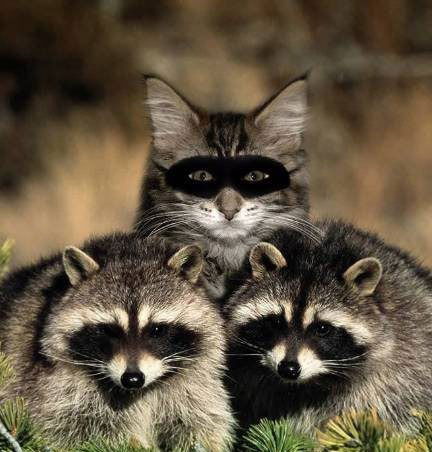 Марина Бойко