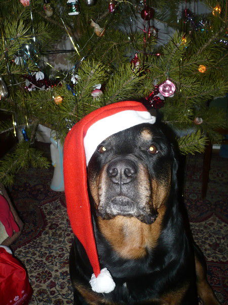 Света Семёнова