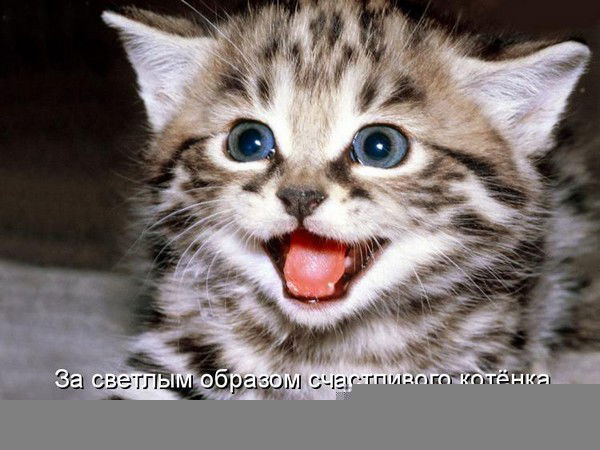 Михаил Михайлов