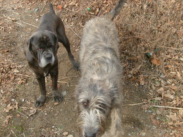 Игорь Сакай