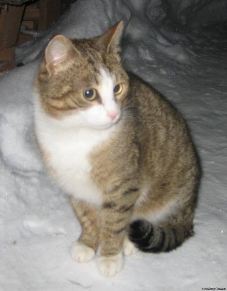 Сергей Иванов