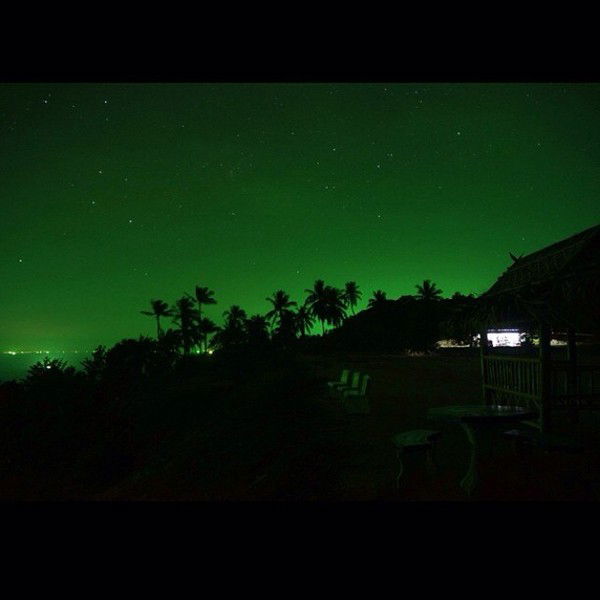 Маша Авдиенко