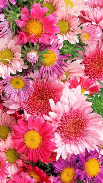 Ольга Васильева