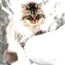 Алла Юхименко