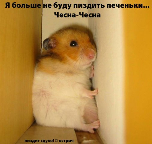 Алия Абильтаева