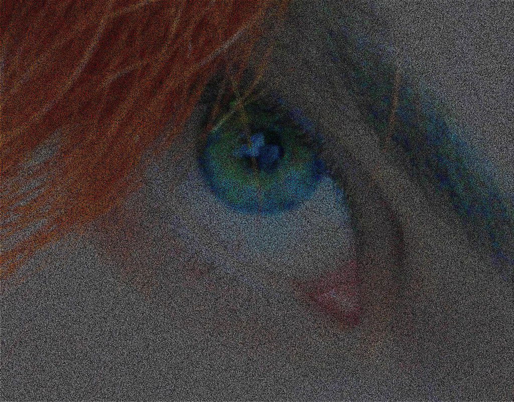 Ксения Лотова