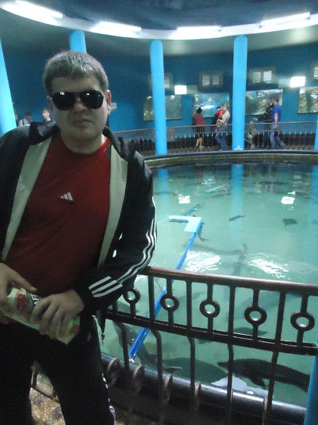 Александр Подгородецкий