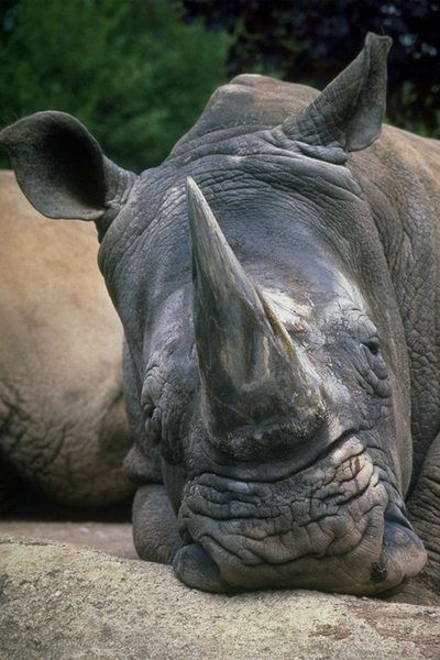 Сергй Морозов