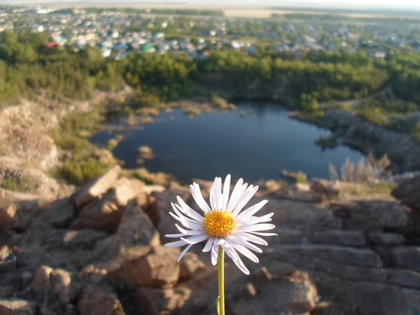 Асель Нигметова