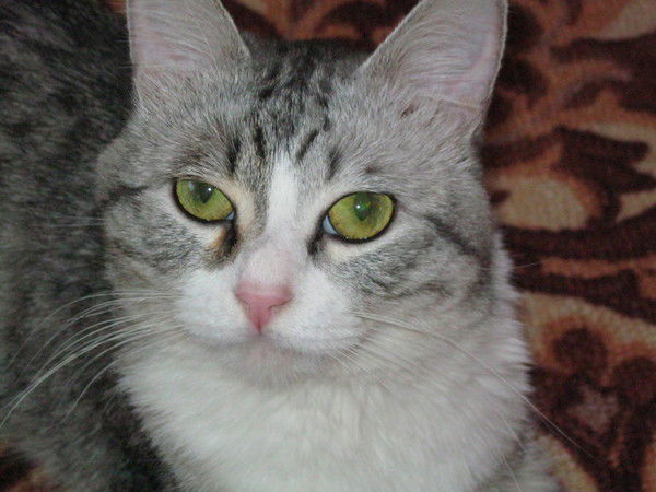 Александр Храпач