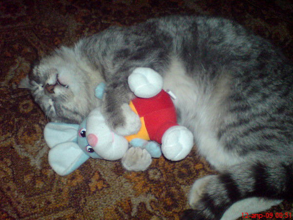 Тюряга(239)Т Тюряга(239)Т