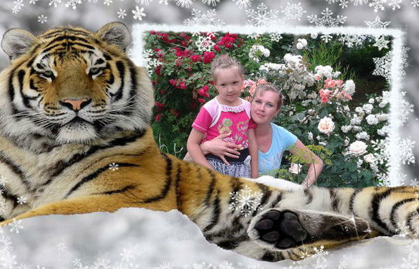 Юлия Горохова