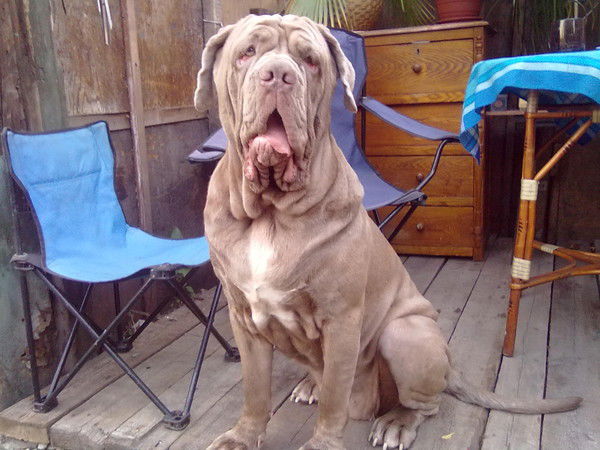 Светлана Овчинникова