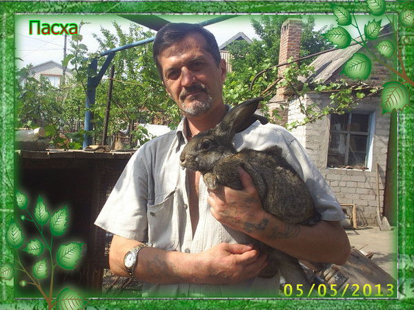 Олег Боренько