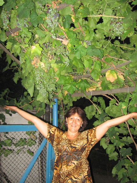 Анжелика Протасова