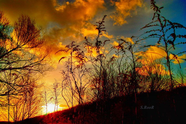 Андрей Трушин