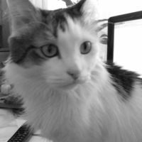 Галя Шуршалова