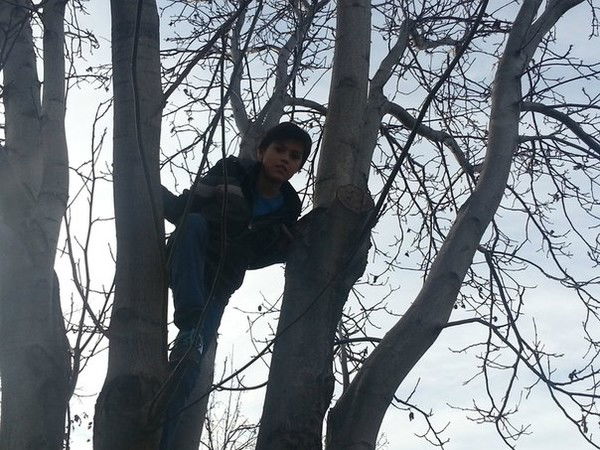 Игорь Иванов