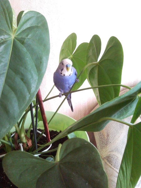 Светлана Светлана