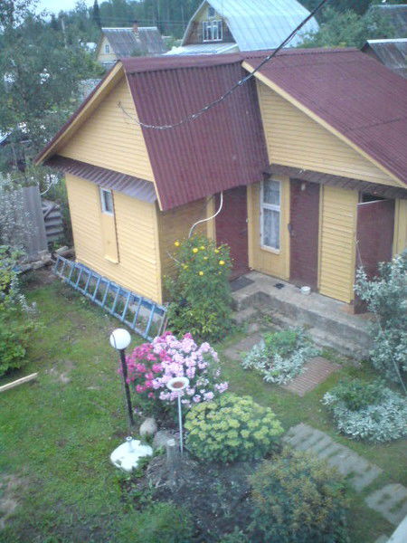 Николай Луценко