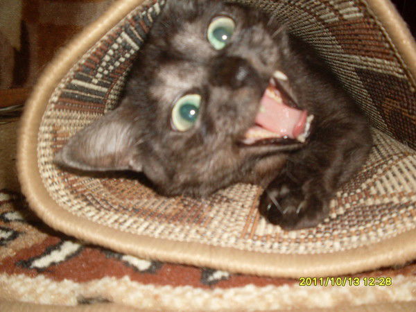 Валентина Лихачёва