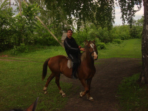 Александр Налогов