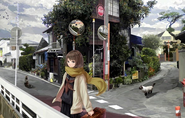 Анимешка Лок