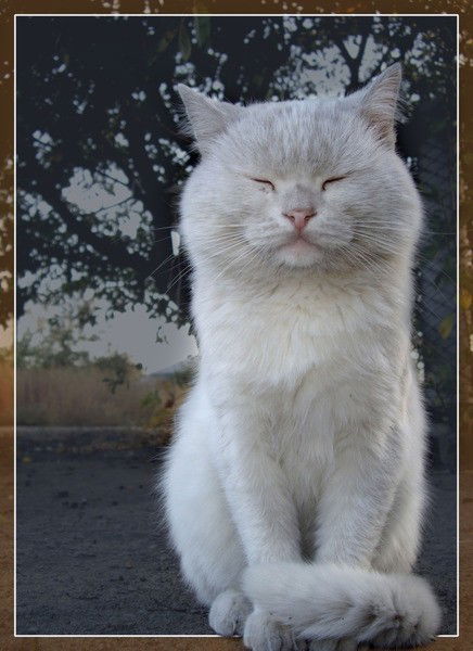 Игорь Бурлаков