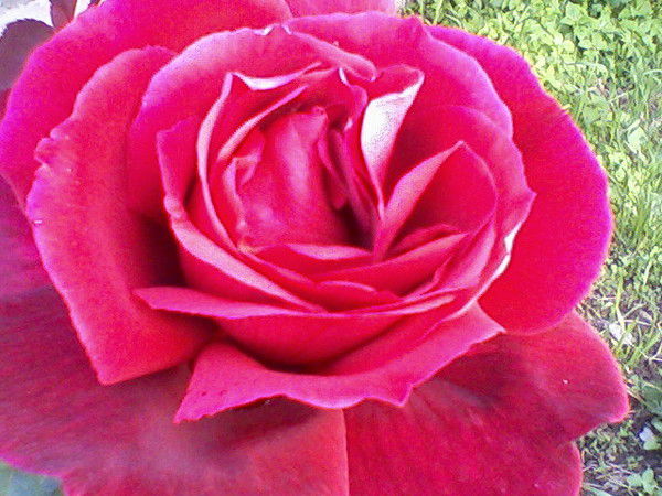 Торкун Андакулова