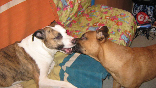 Оксана Календина