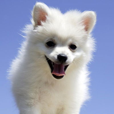 Богдан Тарасенко