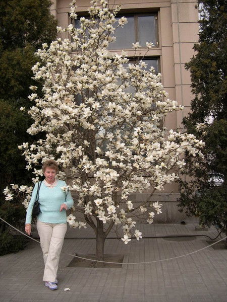 Геннадий Кривошеев