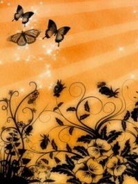 Саша Сорокина