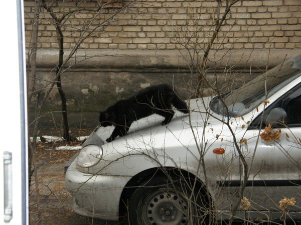 Инна Радченко