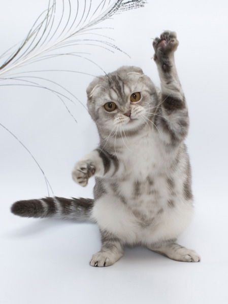 Светлана Гусева