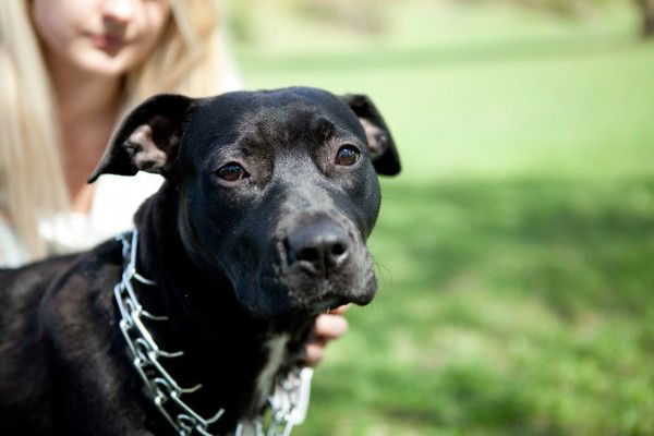 Оксана Прудник