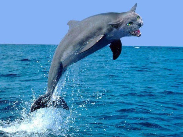 Сергей Волков