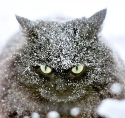 Павел Басков