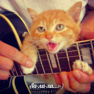 Оксана Берланд