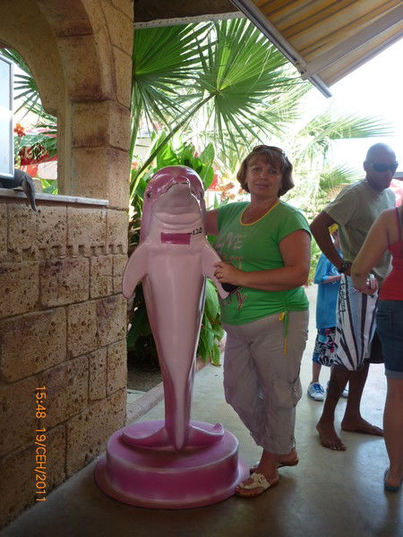 Елена Водолазская