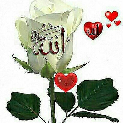 Александра ))))))))