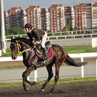 Тонечка Саркисян