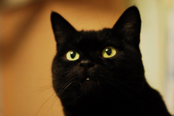 Станислав Наталуха