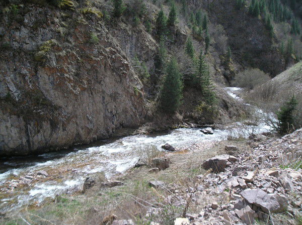 Валерий Паршин