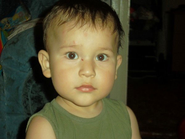 Дина Коротенко