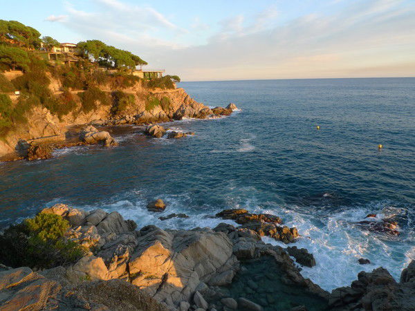 Елена Дзюман