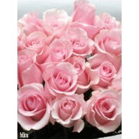 Манижа Абдуназарова