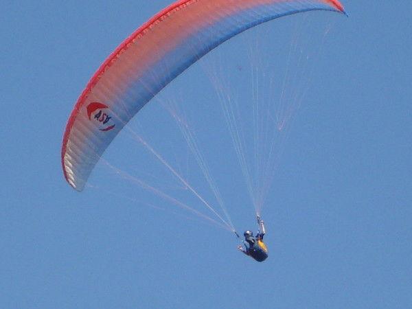 Дмитрий Бабушкин