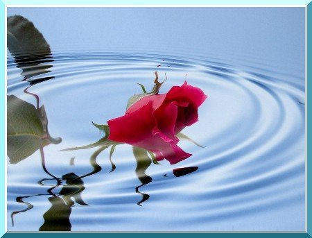 Кымбат Абдилова